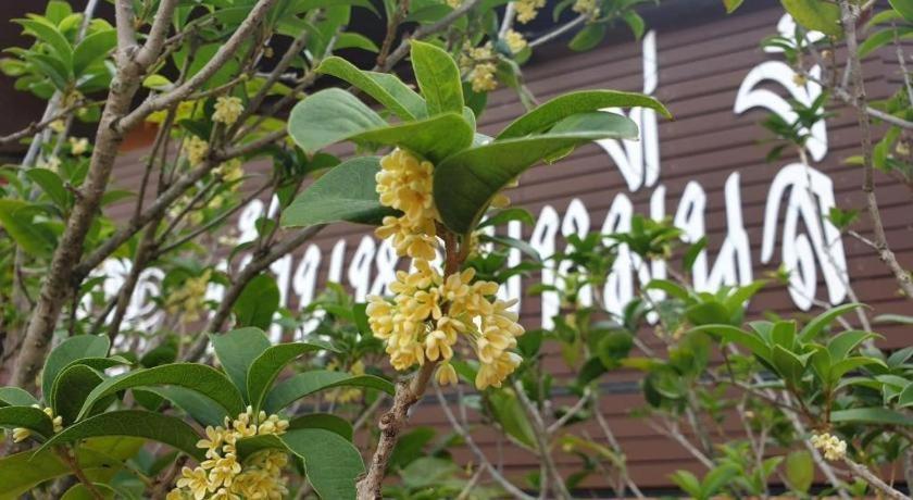 Baan Hom Muen Li Hotell Mae Salong Exteriör bild